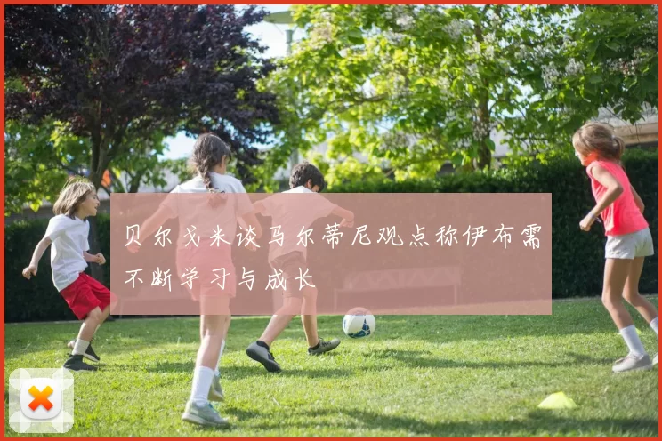 贝尔戈米谈马尔蒂尼观点称伊布需不断学习与成长