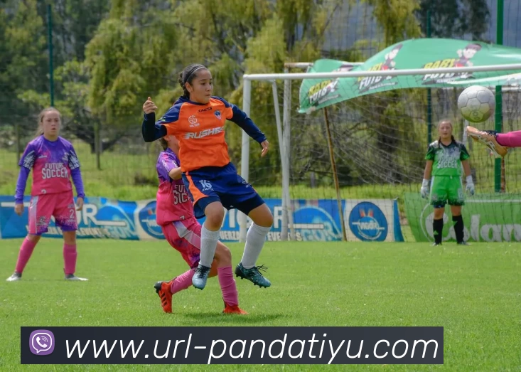 熊猫体育品牌故事