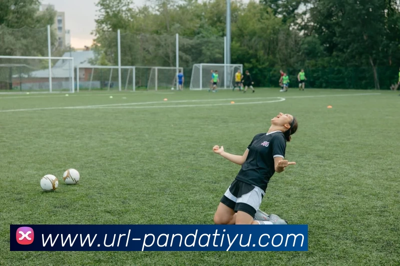 熊猫体育服务体系